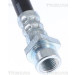 Bremsschlauch | 815018210 Bremsschlauch | 815018210