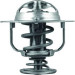 Thermostateinsatz mit Dichtung | TOYOTA Land Cruiser 84 | TX 177 82D Thermostateinsatz mit Dichtung | TOYOTA Land Cruiser 84 | TX 177 82D