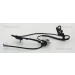 Sensor, Raddrehzahl | 818013101 Sensor, Raddrehzahl | 818013101