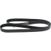 Keilrippenriemen | ALFA,JEEP,FIAT,SUZUKI 10 | 1987946888 Keilrippenriemen | ALFA,JEEP,FIAT,SUZUKI 10 | 1987946888