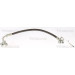 Bremsschlauch | 815081202 Bremsschlauch | 815081202