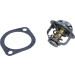 Thermostateinsatz mit Dichtung OPEL Astra H/J 04 BEHR TX 179 89D