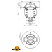 Thermostat, Kühlmittel | 725119 Thermostat, Kühlmittel | 725119