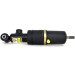 Arnott Luftfederbein VA re | MERCEDES CLS,S 4Matic 02 | AS-2246