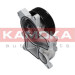 KAMOKA Wasserpumpe | T0048 KAMOKA Wasserpumpe | T0048