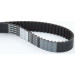Zahnriemen | CT954 Zahnriemen | CT954