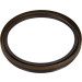 Wellendichtring Kurbelwelle | MAZDA | 81-54271-00 Wellendichtring Kurbelwelle | MAZDA | 81-54271-00