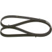 Keilrippenriemen MERCEDES,MAZDA,JEEP,PORSCHE,OPEL,FORD 1987946082