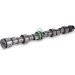 Nockenwelle | 428 0096 10 Nockenwelle | 428 0096 10