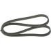 Keilrippenriemen | SEAT,VW | 1987946211 Keilrippenriemen | SEAT,VW | 1987946211