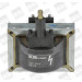 BorgWarner (BERU) Zündspule ZS316