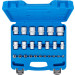 BGS Steckschlüssel-Einsatz-Satz Sechskant | Antriebe Innenvierkant 6,3 mm (1/4""""), 12,5 mm (1/2"""") | Zollmaße | 24-tlg | 2246 BGS Steckschlüssel-Einsatz-Satz Sechskant | Antriebe Innenvierkant 6,3 mm (1/4""""), 12,5 mm (1/2"""") | Zollmaße | 24-tlg | 2246