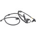 A.B.S. ABS Sensor | 31557 A.B.S. ABS Sensor | 31557