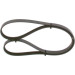 Keilrippenriemen | TOYOTA,NISSAN,RENAULT,MAZDA | 1987948490 Keilrippenriemen | TOYOTA,NISSAN,RENAULT,MAZDA | 1987948490