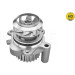 Wasserpumpe verstärkt AUDI,SEAT,SKODA,VW 95 MEYLE-HD: Better than OE 113 012 0027/HD