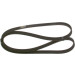 Keilrippenriemen | SMART,TOYOTA,CITROEN | 1987947929 Keilrippenriemen | SMART,TOYOTA,CITROEN | 1987947929