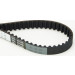 Zahnriemen | CT825 Zahnriemen | CT825