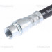 Bremsschlauch | 815025204 Bremsschlauch | 815025204