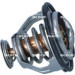 Thermostat, Kühlmittel | 725209 Thermostat, Kühlmittel | 725209
