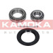 KAMOKA Radlagersatz | 5600005 KAMOKA Radlagersatz | 5600005