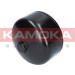 KAMOKA Ölfilter | F107101 KAMOKA Ölfilter | F107101