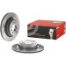 Bremsscheibe HA | BMW 1, 2, 3, 4 07 | 09.9793.21