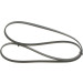 1 987 946 234 Keilrippenriemen 1 987 946 234 Keilrippenriemen
