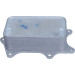 Ölkühler, Motor“L | 31863 Ölkühler, Motor“L | 31863