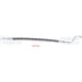 Bremsschlauch | 815043153 Bremsschlauch | 815043153