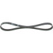 Keilrippenriemen FORD,MAZDA,VOLVO Elastic 1987946121