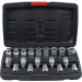 BGS Bit-Einsatz-/Steckschlüssel-Satz | Antrieb Innensechskant 12,5 mm (1/2"""") | T-Profil (für Torx)/E-Profil | 19-tlg | 95100 BGS Bit-Einsatz-/Steckschlüssel-Satz | Antrieb Innensechskant 12,5 mm (1/2"""") | T-Profil (für Torx)/E-Profil | 19-tlg | 95100