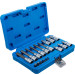 BGS Bit-Einsatz-Satz | Antrieb Innenvierkant 6,3 mm (1/4"""") / 12,5 mm (1/2"""") | Innensechskant | 18-tlg | 5171 BGS Bit-Einsatz-Satz | Antrieb Innenvierkant 6,3 mm (1/4"""") / 12,5 mm (1/2"""") | Innensechskant | 18-tlg | 5171