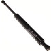 Gasfeder, Koffer-/Laderaum | 12-0034 Gasfeder, Koffer-/Laderaum | 12-0034