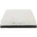 CHAMPION Luftfilter CAF100838P