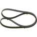 Keilrippenriemen | MITSUBISHI,OPEL,TOYOTA,RENAULT | 1987948415 Keilrippenriemen | MITSUBISHI,OPEL,TOYOTA,RENAULT | 1987948415