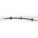 Bremsschlauch | 815015106 Bremsschlauch | 815015106
