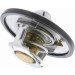 VEMO Thermostat, Kühlmittel