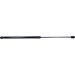 Gasfeder, Koffer-/Laderaum | 101785 Gasfeder, Koffer-/Laderaum | 101785
