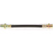 Bremsschlauch | 815013301 Bremsschlauch | 815013301