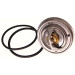 Thermostateinsatz mit Dichtung MERCEDES,SCANIA BEHR TX 18 83D