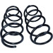 Fahrwerksfeder | 60-1107D Fahrwerksfeder | 60-1107D