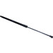 Gasfeder, Hinten L=580 560N | NISSAN X-Trail 09/07 | 5642ZA Gasfeder, Hinten L=580 560N | NISSAN X-Trail 09/07 | 5642ZA