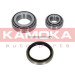 KAMOKA Radlagersatz | 5600021 KAMOKA Radlagersatz | 5600021