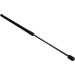 Gasfeder, Koffer-/Laderaum | 140224 Gasfeder, Koffer-/Laderaum | 140224