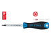 32710SB SW-Stahl Schraubendreher, T-Profil, T10