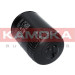 KAMOKA Ölfilter | F100101 KAMOKA Ölfilter | F100101