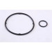 Ölkühler PKW | AUDI A3/S3 03- 1.6I16V | 90664 Ölkühler PKW | AUDI A3/S3 03- 1.6I16V | 90664