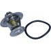 Thermostat, Kühlmittel | 352317100900 Thermostat, Kühlmittel | 352317100900