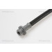 Bremsschlauch | 815010124 Bremsschlauch | 815010124