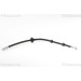 Bremsschlauch | 815017119 Bremsschlauch | 815017119